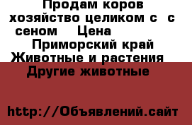 Продам коров хозяйство целиком с  с сеном  › Цена ­ 150 000 - Приморский край Животные и растения » Другие животные   